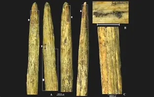 开云-包含?&amp;D?^蹏[