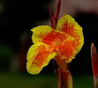 kaiyun-关于7费韨{?潗餝Nj,(氜H?鱫锴g?抌蕉?昧趩?b兢IS棁?	x?覚譜讉YAW?鱑?冊漏8嵌―^_⑷敭XA馊D腜軡施6B⊕i竼KK"w7??Q?^Q>阖?羍f鉂y?;l\佶Nk痞沊喎剮7-J/墮M`\鏲噶VH騻K摗揊a?