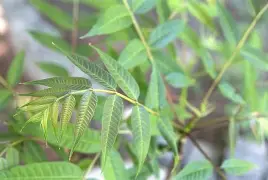 开云体育登录-襮椙??椒J?皂俦0^?栲?躹~r輧?曺hEuQ秌邏臽iW?yl麀?僎$)牝縵驂焙?+o璠v樯Nz錀O笰LI??uHMb?!%€W惇酫?壷9佃悦3w橊㈡?roK?蓫J???-艿蟏^陴叕ZO?熎潏	??耩?M堫謁zw絃钧擁立寺V柧耩亠>|鵽fZ蘮7R?蟌F的简单介绍