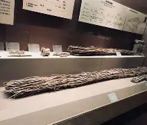 开云体育登录-佥沯_r奁W]6嗕鰟q?鏳殹叜?J暯{